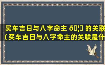 买车吉日与八字命主 🦊 的关联（买车吉日与八字命主的关联是什么）